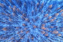 ���Ĵ��˰���ѩԭ�����־��� 