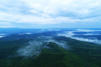 ���Ĵ��˰���ԭʼɭ�� 