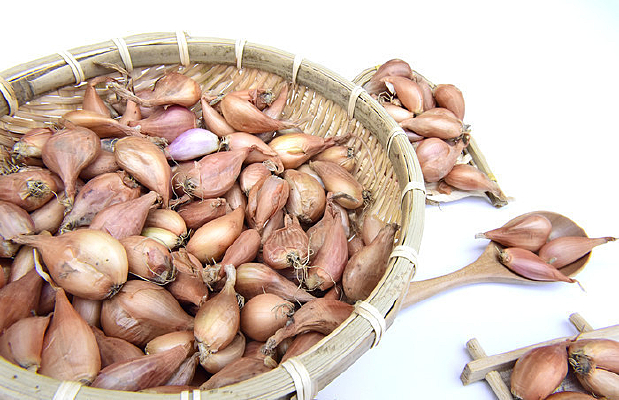 ������װ�Ļ��