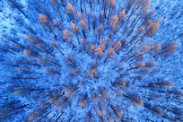 ѩԭ������