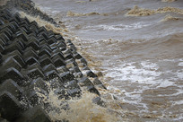 ����̺���