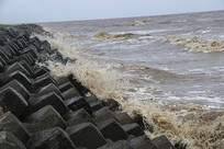 �����İ�