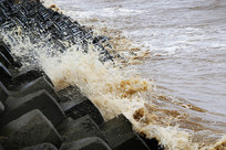 �ƺ�����