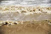 ��ɫ����