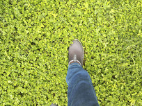 ̲ݵؽӡ