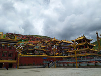 ɫ������������ѧԺ���ﾭ��