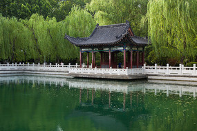 ��������Ȫ�Ŵ�����