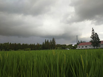 ��Ұ������