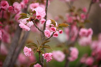 �ձ�����