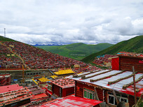 ɫ������������ѧԺ