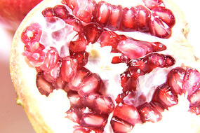 �������ʯ��  