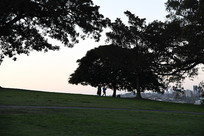 ��ɫ����