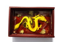 ͸����֬��