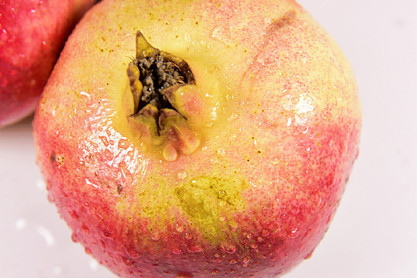 ���ʺ�ʯ�� 