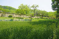 �������״�ͥԺ������