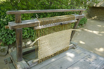 �������׹��ղݵ��֯������ 