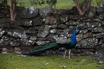 �����͵Ŀ�ȸ