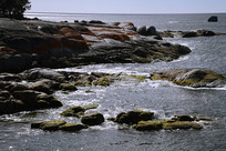 ���޺�����ʯ