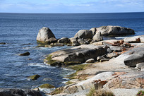 ������ɫ�ĺ���