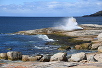 ����˰��ĺ���