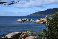 ����ߵĽ�ʯȺ