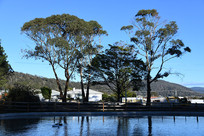 ���ߵ�����