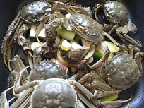 ��������բз