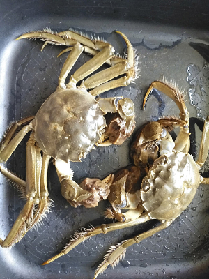 ������з