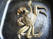 ������з