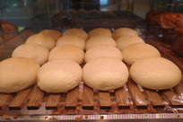 ʳԲ