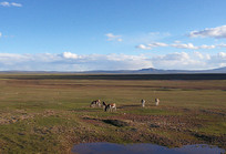 �ɿ����������� 