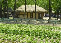 ������ͳ��ӽ����Ͳ˵�