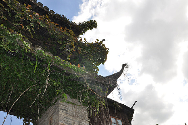 �����Ʒ�ͤ��