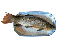 ��ζʳ�Ķ�����ױ�����Ӱͼ