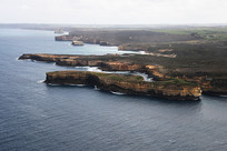 ����ʮ����ͽ����