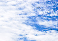 ��������µĴ���