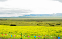 �ຣ���ߵ��Ͳ˻�