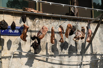 ����ɹ��