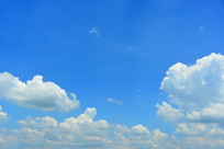 ������Ʊ����ز�