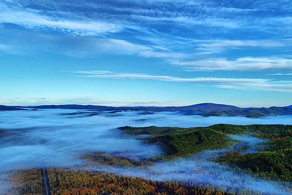 ���˰����＾ɭ���ƺ�