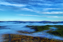 ���˰����＾ɭ���ƺ�