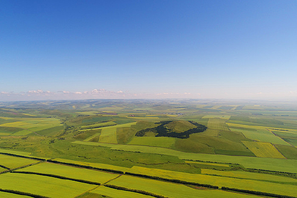 ���ĺ��ױ���������Ұ