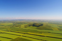 ���ĺ��ױ���������Ұ