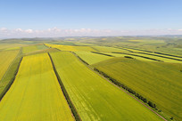 ���Ŀ����Ͳ˻���