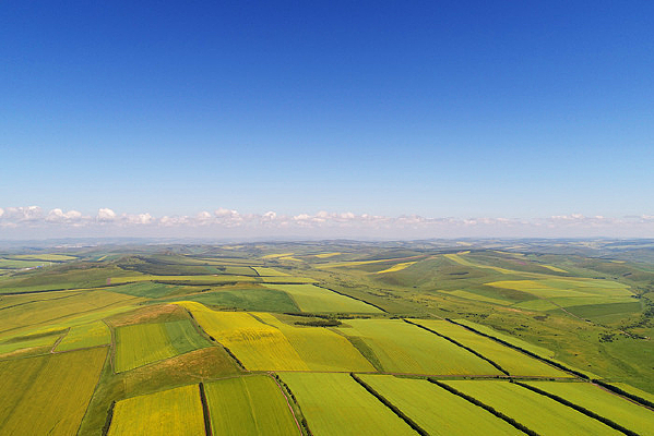 ���������Ŀ���ũ��