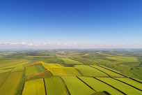 ���������Ŀ���ũ��