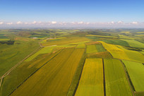 ������������Ұ