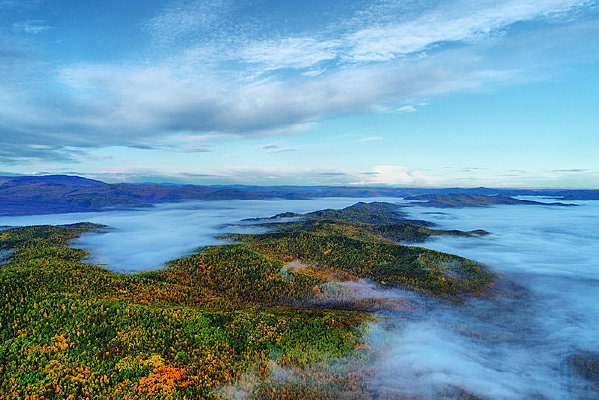 ����ɭ����ɫ����