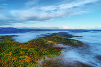 ����ɭ����ɫ����