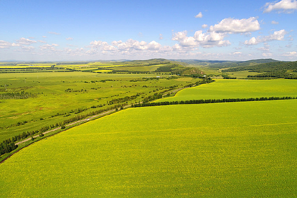 ������԰��� 